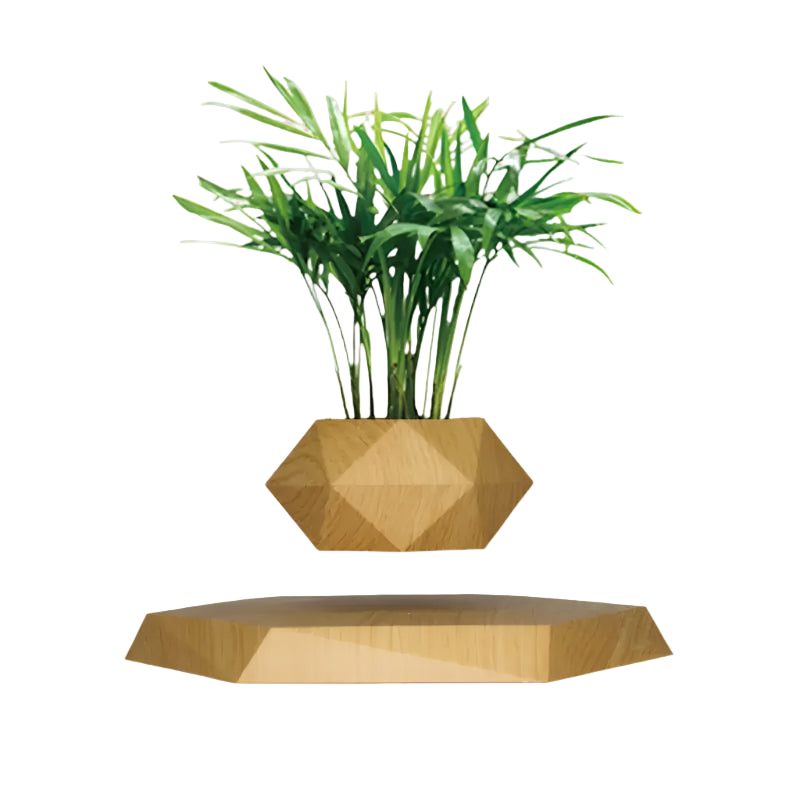 Geometric wooden plant holder with a green plant on a white background