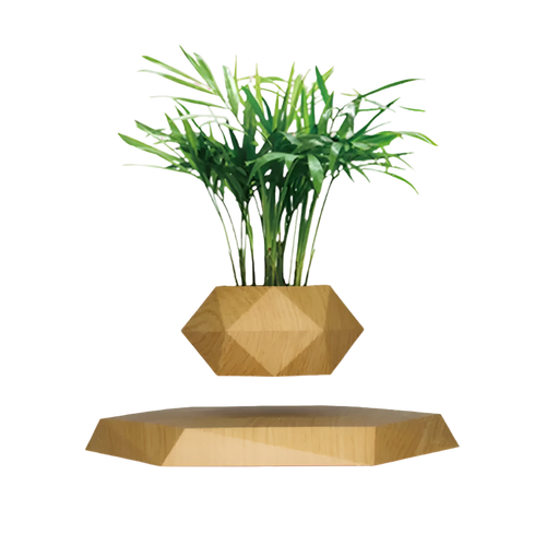 Geometric wooden plant holder with a green plant on a white background