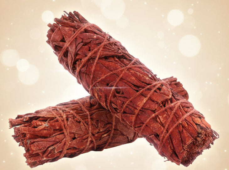 Two bundles of sage tied together on a white background