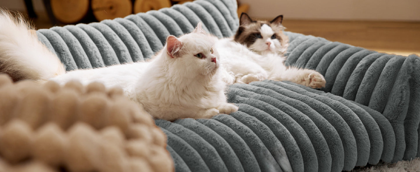 Two cats lounging on a textured gray pet bed.