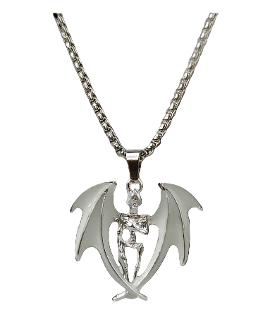 Silver pendant with a chain on a white background