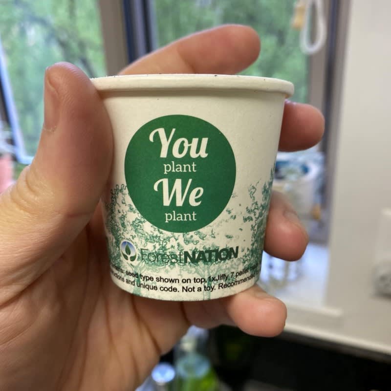 Hand holding a paper cup with 'You plant, We plant' text and Forest Nation branding.