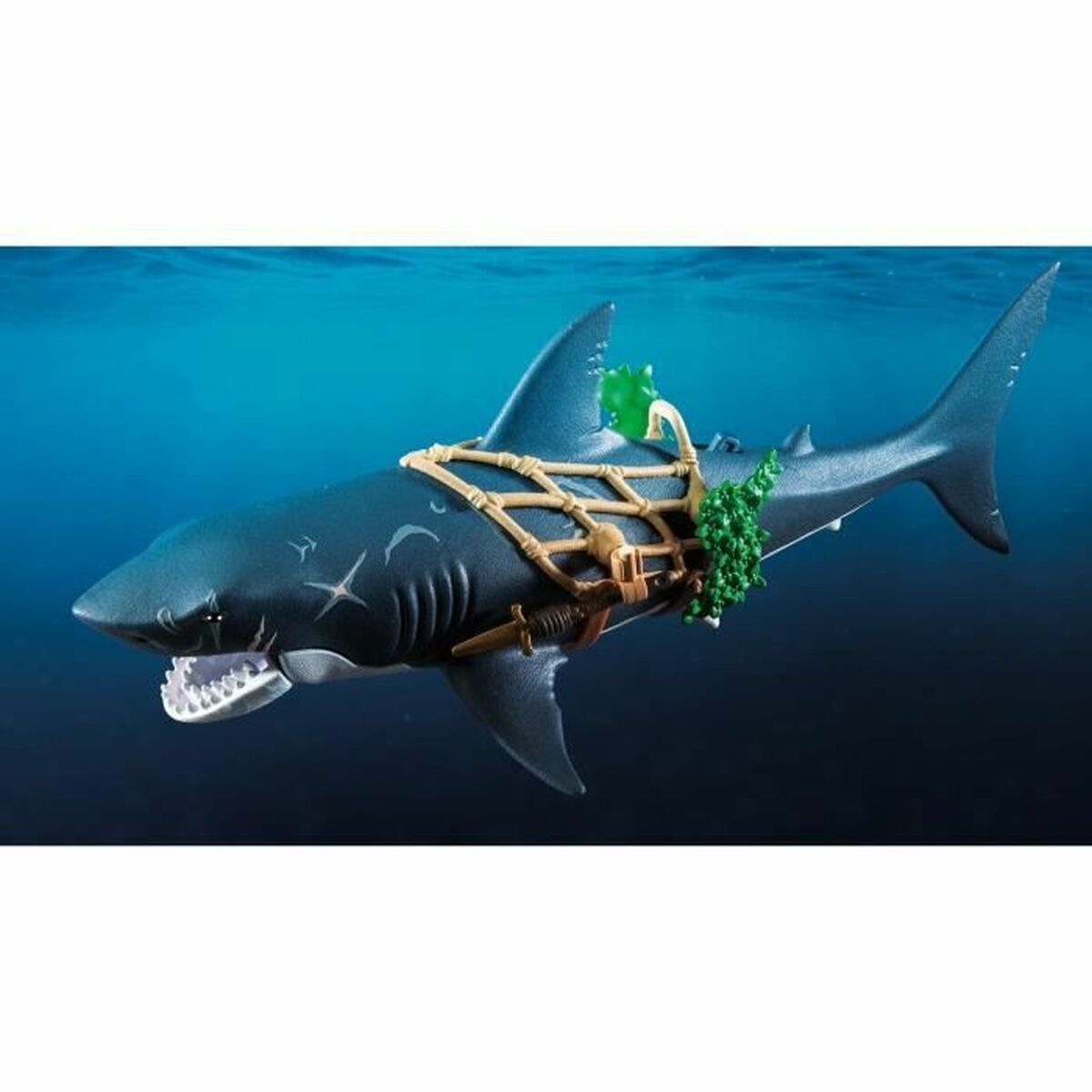 Shark with a cage attached underwater