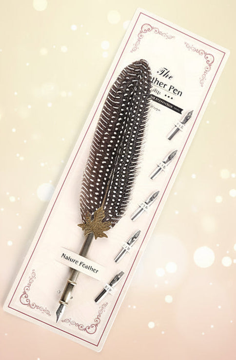 Feather pen on a decorative card with illustrations of pens on a white background