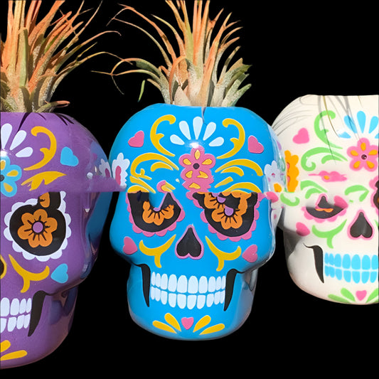 Three colorful skull-shaped planters with decorative designs on a wooden surface.