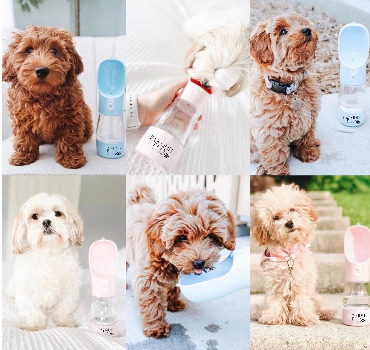 Collage of dogs with pet care products, including a bottle and a lamp.
