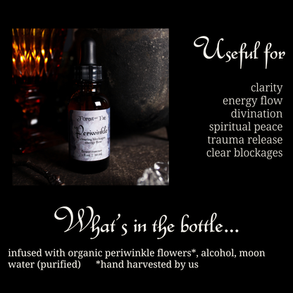 Energy Flow Periwinkle Flower Essence for Witchy Intuition - Lucky Girl Gifts