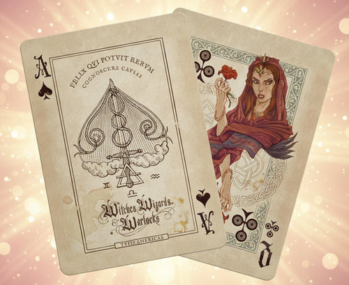 Two playing cards with intricate designs on a white background