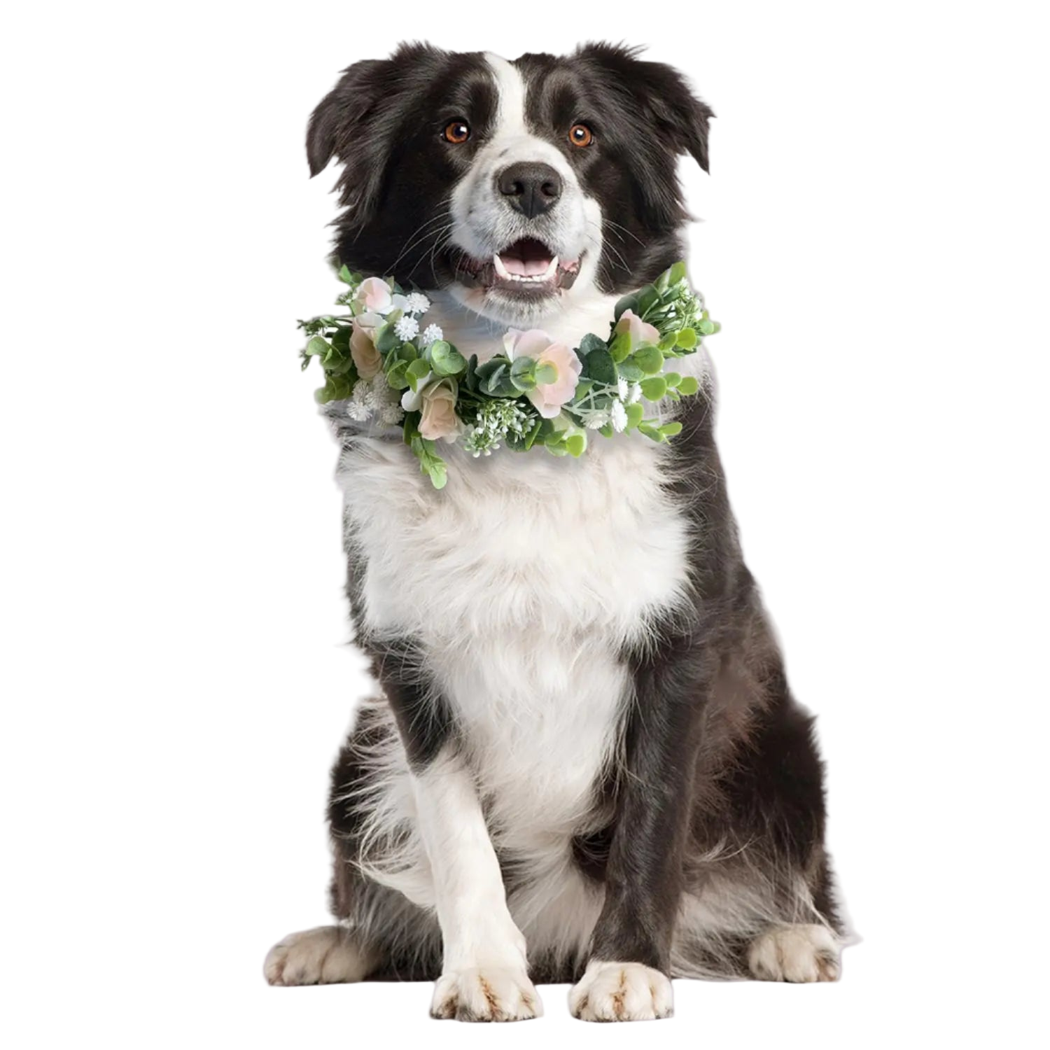 Dog wearing a floral wreath on a white background