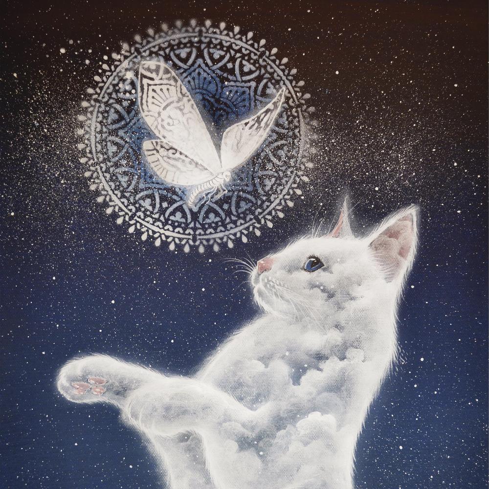 White cat looking at a mandala with a butterfly on a starry night background