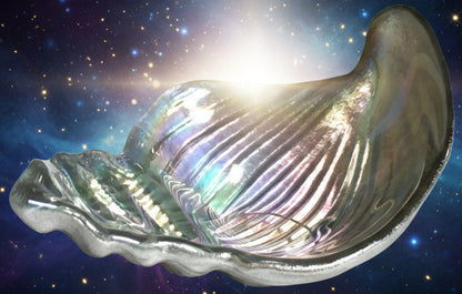 Conch Shell Dishes Set | Iridescent Silver | Set of Four - Lucky Girl Gifts
