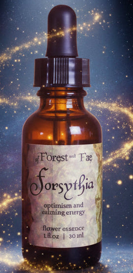 Optimism Forsythia Flower Essence for Confidence and Serenity - Lucky Girl Gifts