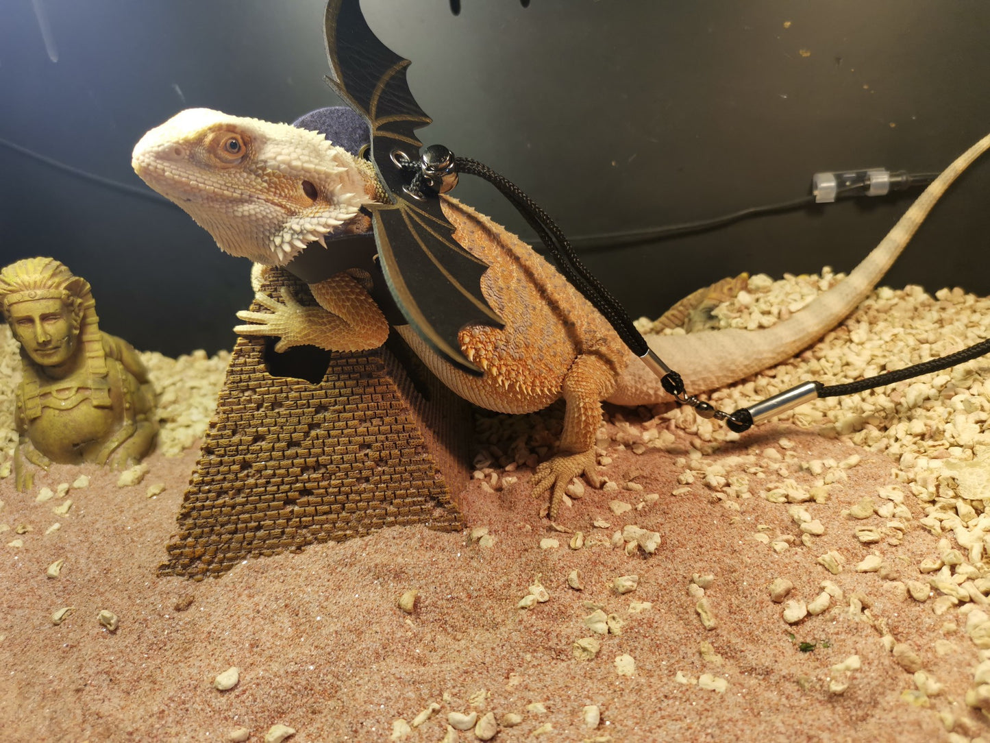 Bearded dragon on a sand substrate with a small statue in the background