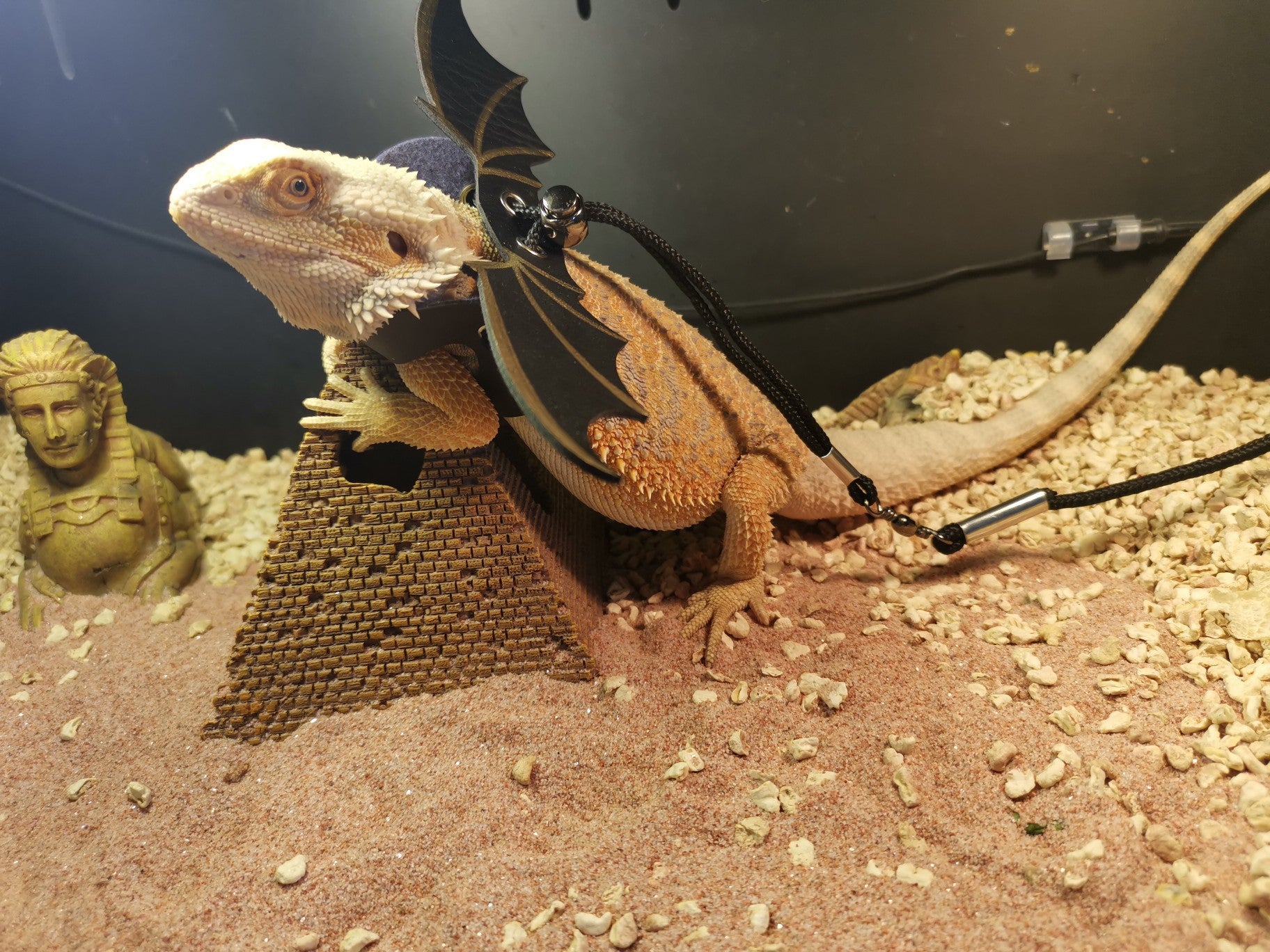 Bearded dragon on a sand substrate with a small statue in the background