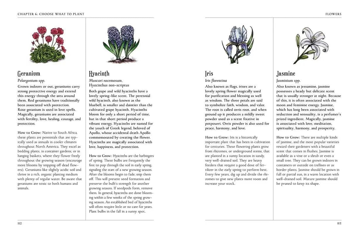 Book page with illustrations of different flowers and plant names