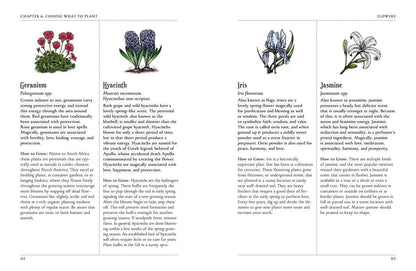 Book page with illustrations of different flowers and plant names