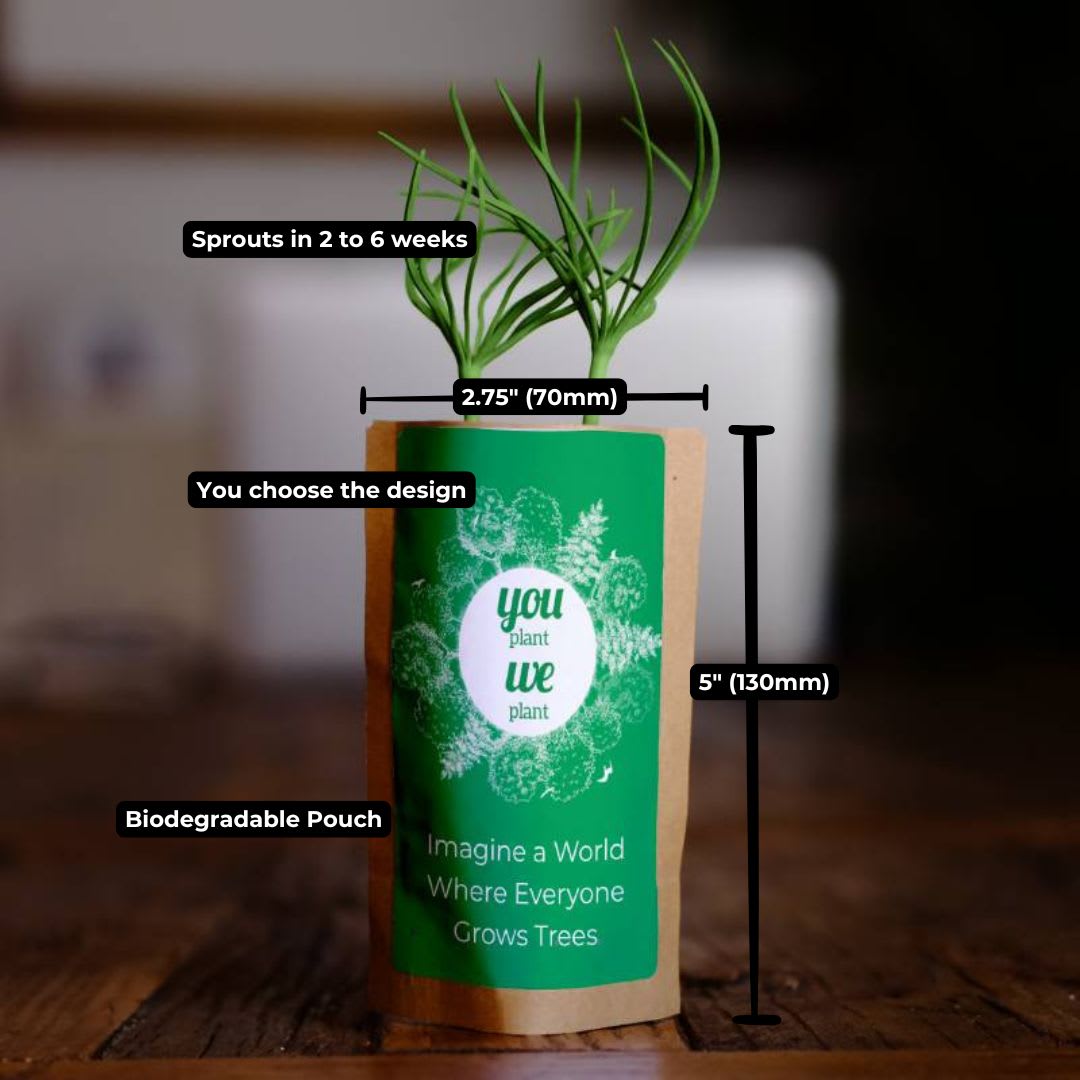 Biodegradable pouch with sprouting plant, measurements, and branding text.