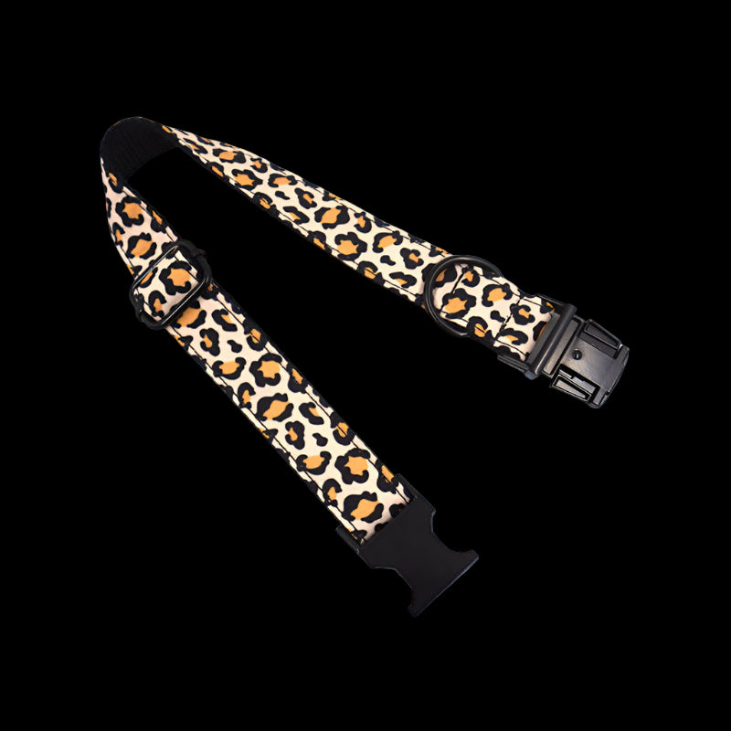 Leopard print belt with black buckle on a white background