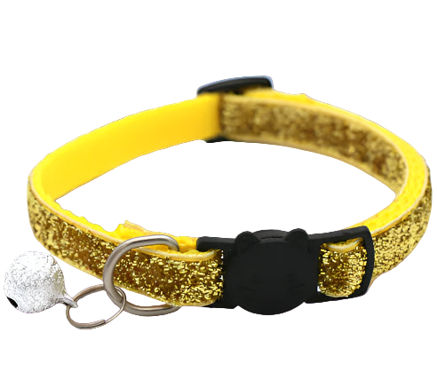 Gold glittery cat collar with a bell on a white background