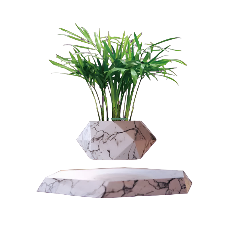 Marble-patterned planter with a green plant on a white background
