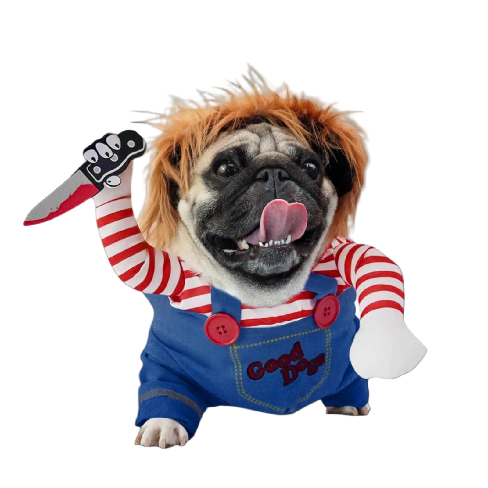 Dog wearing a costume with red and white striped shirt, blue overalls, and holding a toy knife on a white background