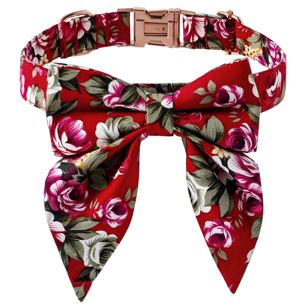 Floral dog collar with a matching bow on a white background
