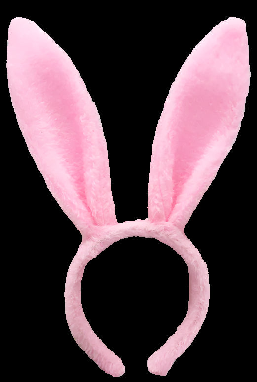 Pink bunny ears on a headband with a decorative photo frame in the background.