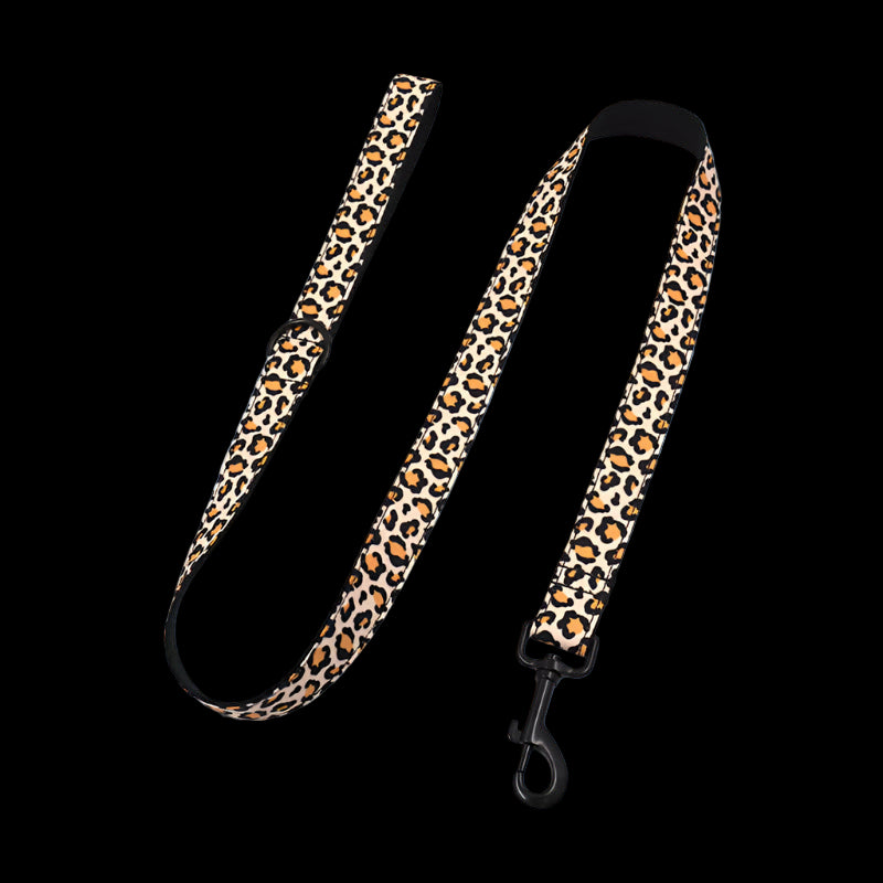Leopard print dog leash on a white background