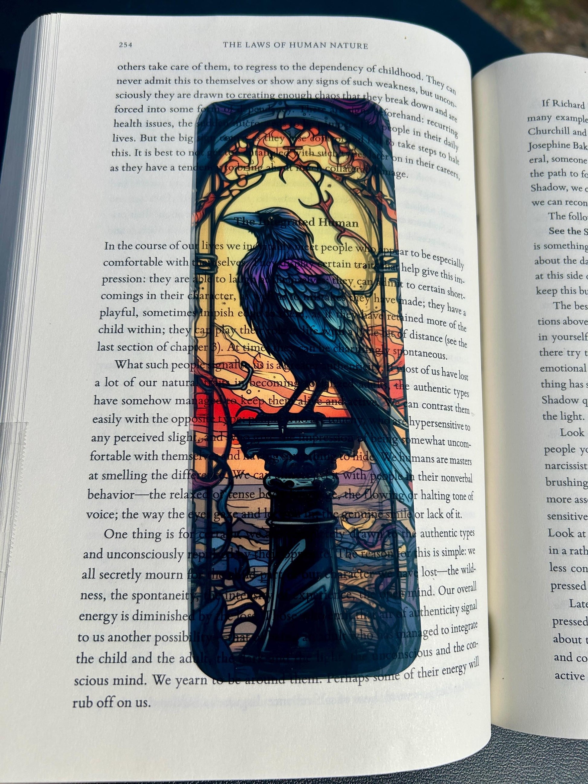 Decorative bookmark with a crow design on an open book