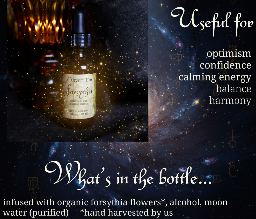 Optimism Forsythia Flower Essence for Confidence and Serenity - Lucky Girl Gifts