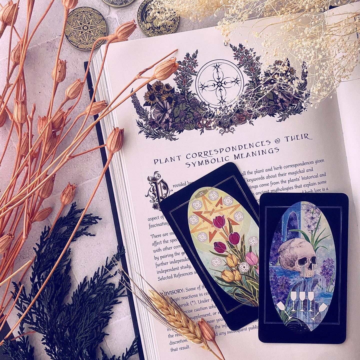 A styled flat-lay of a tarot deck with two cards placed on an open book surrounded by dried flowers, wheat, and coins.