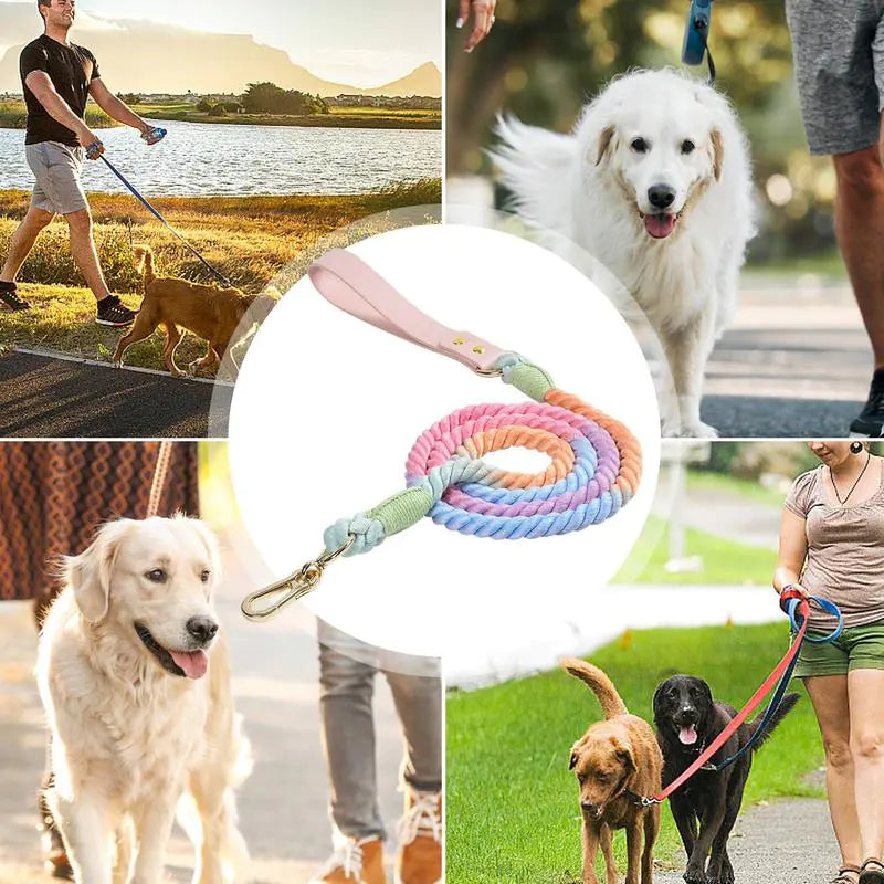 Collage of dogs on leashes with a colorful rope leash in the center.