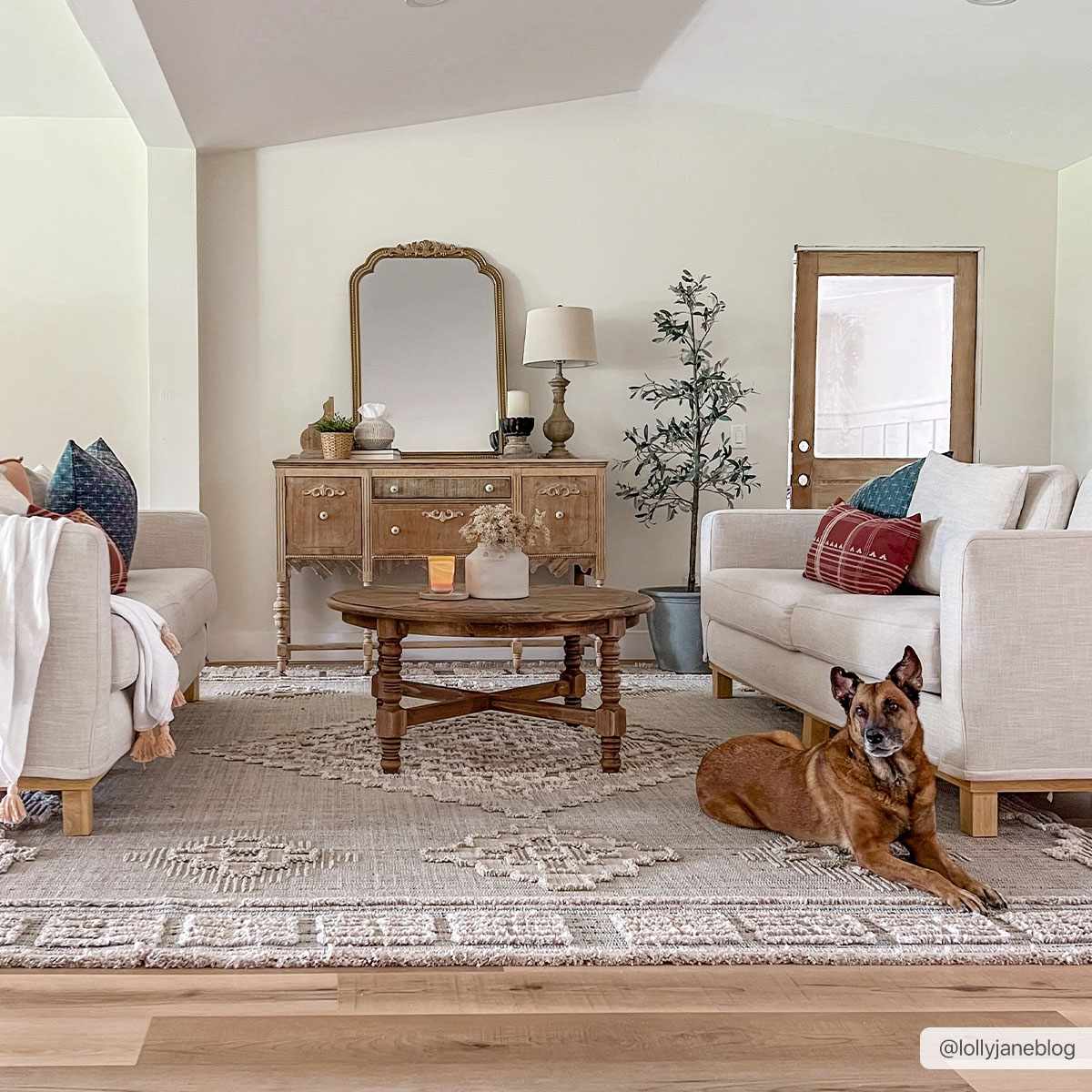 Living room with a dog lying on the floor, furniture, and decor.