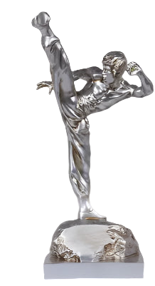Silver martial arts sculpture on a white surface with a lamp in the background