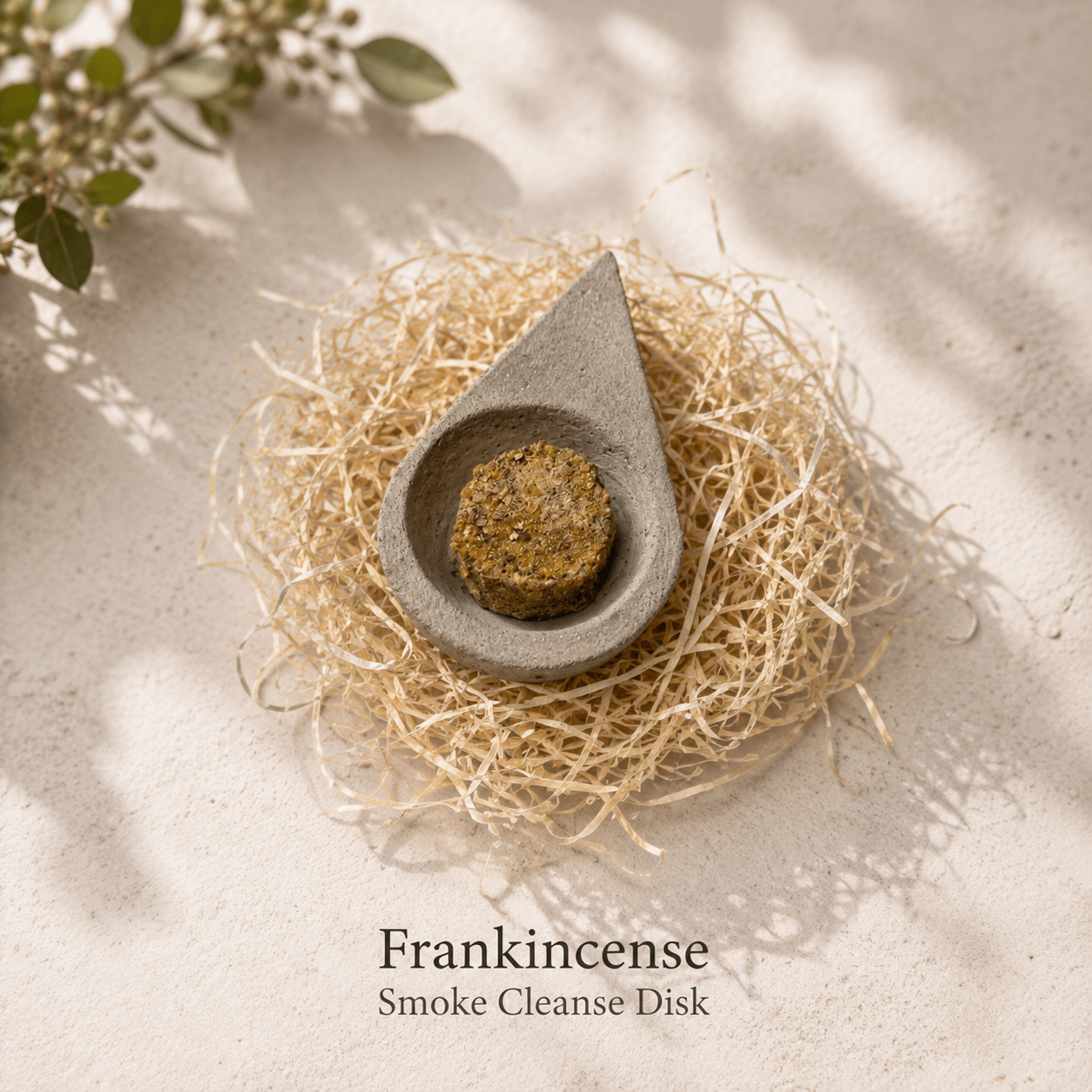 A round smoke cleanse disk labeled 'Frankincense Smoke Cleanse Disk' sits in the center of a small gray teardrop-shaped holder, surrounded by a nest of natural raffia fiber on a light beige textured surface with soft leaf shadows.