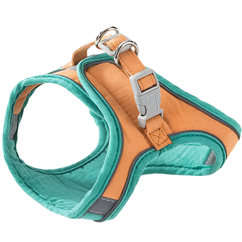 Dog harness with teal front and brown back on a white background