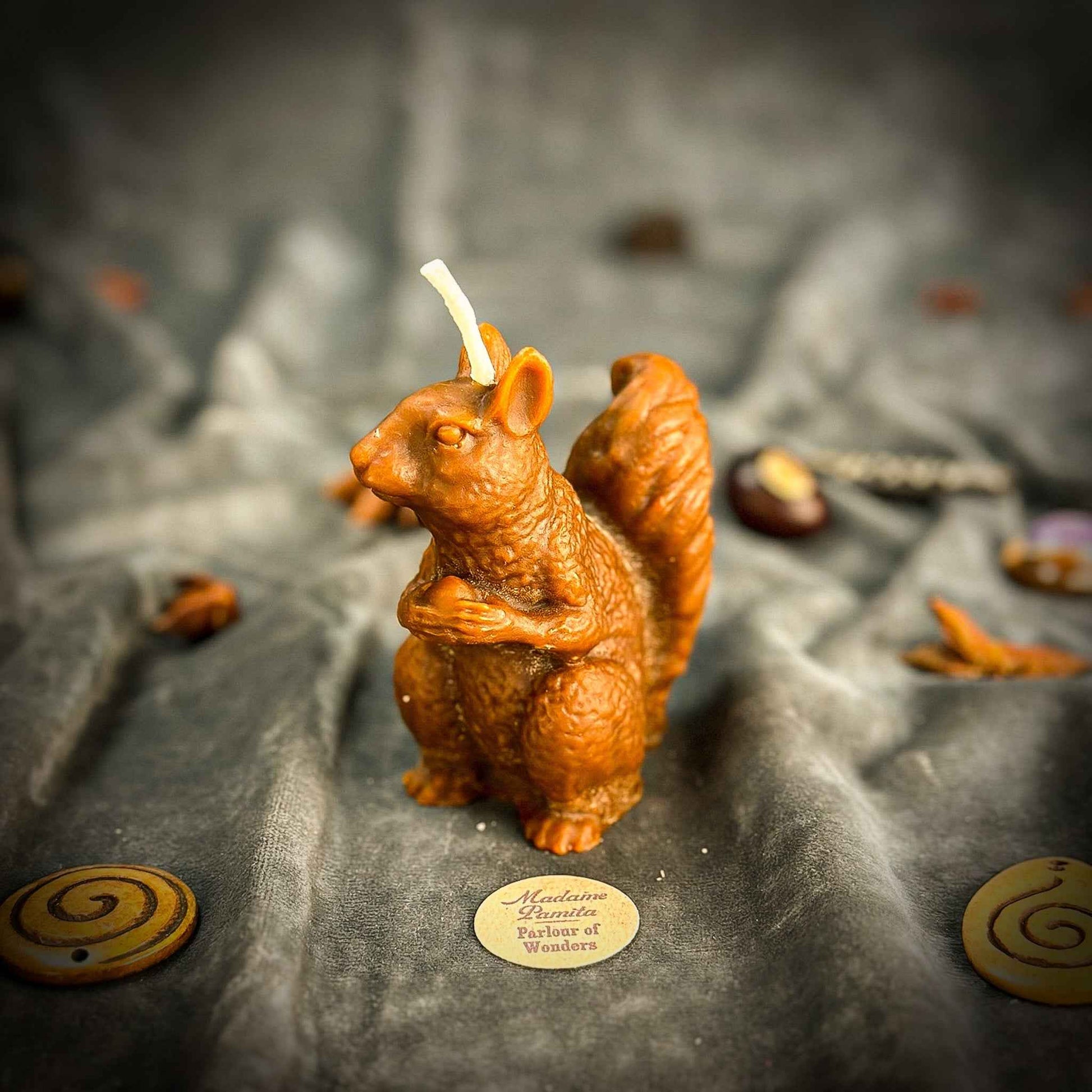 Squirrel of Abundance Candle Spell Kit - Prosperity & Wise Investments Magic