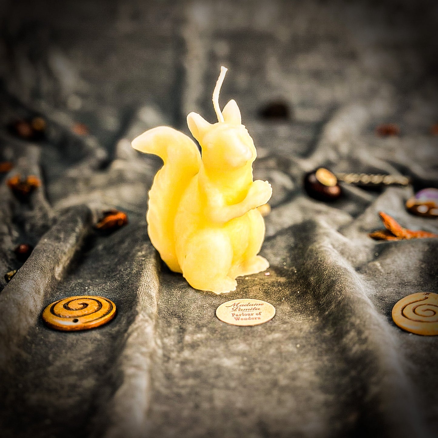 Squirrel-shaped candle on a textured surface with coins and leaves.