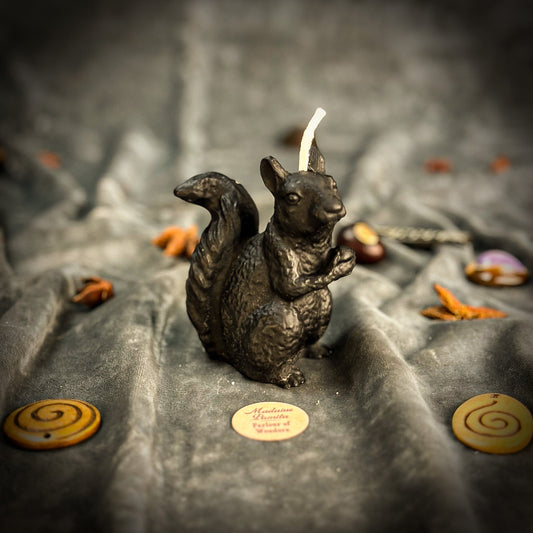 Squirrel-shaped candle on a textured surface with decorative elements