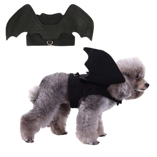 Dog wearing a black bat costume with bat wings on a white background