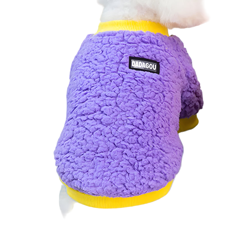 Dog wearing a purple fleece sweater with a yellow collar and 'DADAGOU' label.
