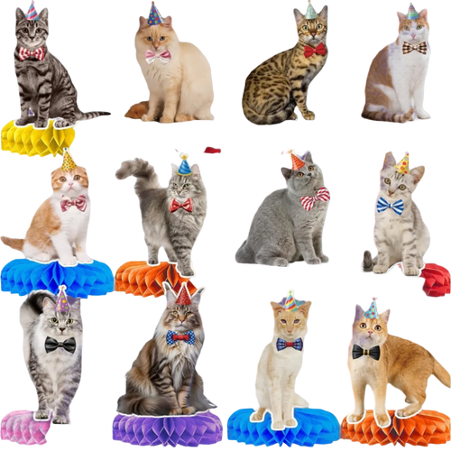 Multiple cats wearing party hats and bow ties on colorful stands.