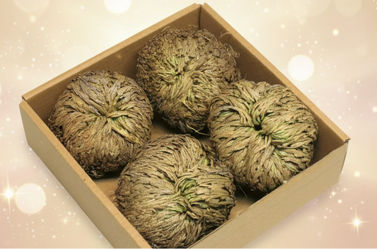 Four spherical, textured objects in a cardboard box on a textured surface.