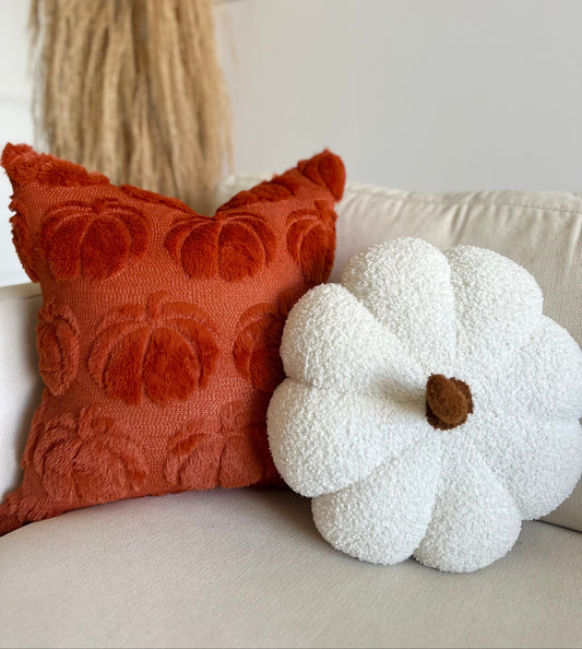 Decorative pillows on a couch with a white wall and decorative mirror in the background