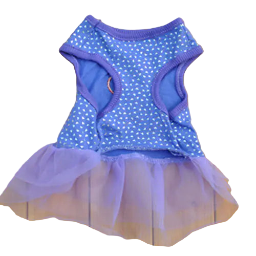 Blue pet dress with white polka dots and purple trim on a wooden surface