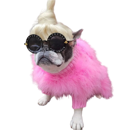 Dog wearing a pink fluffy sweater and black sunglasses with 'Paw Amour' branding, standing against a brick wall.