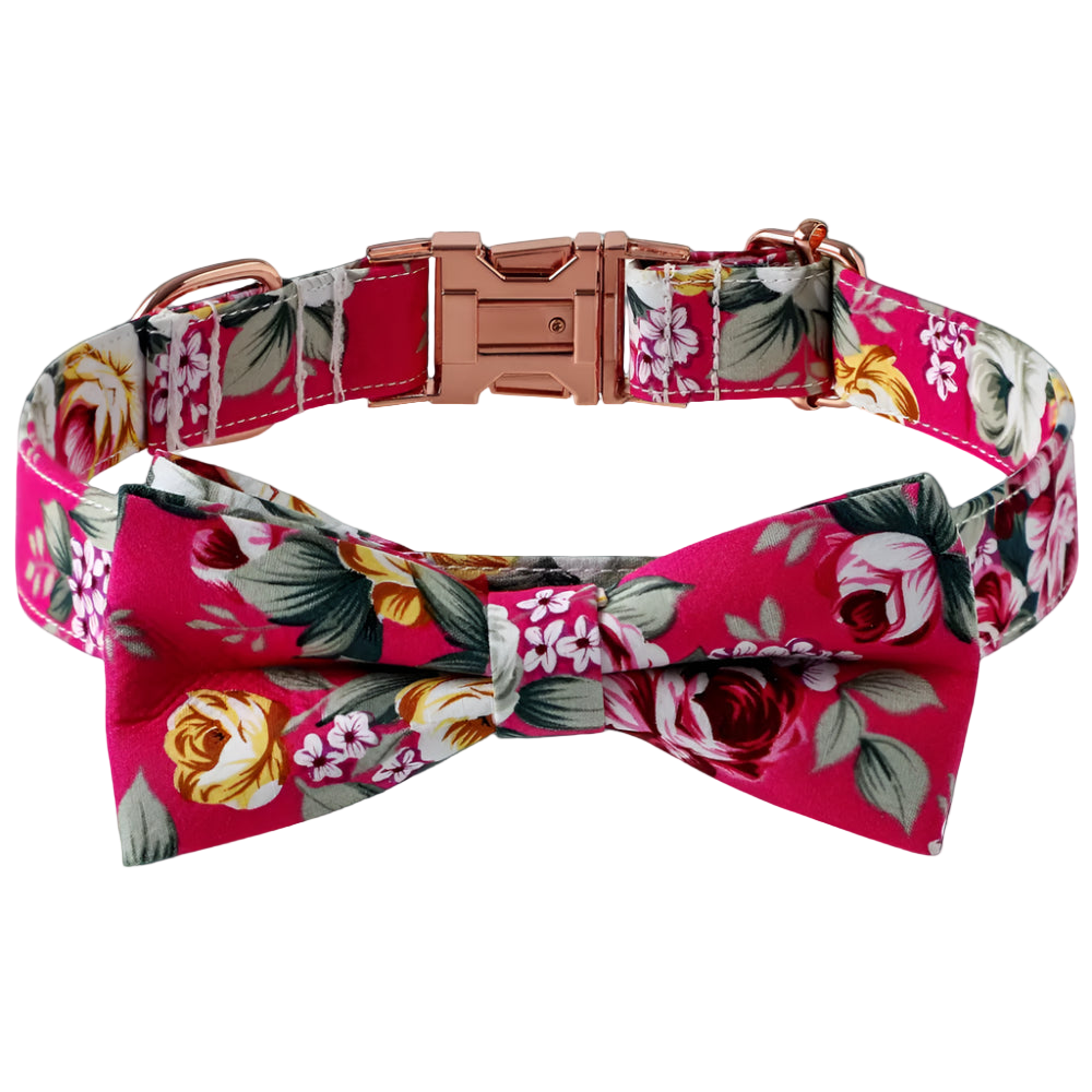 Floral dog collar with a bow tie on a white background