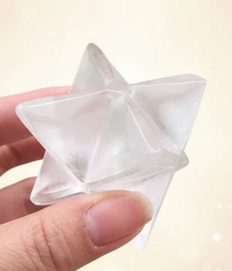 Star-shaped white object held by a hand with green plants in the background