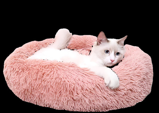 White cat lying on a pink fluffy pet bed with a white background