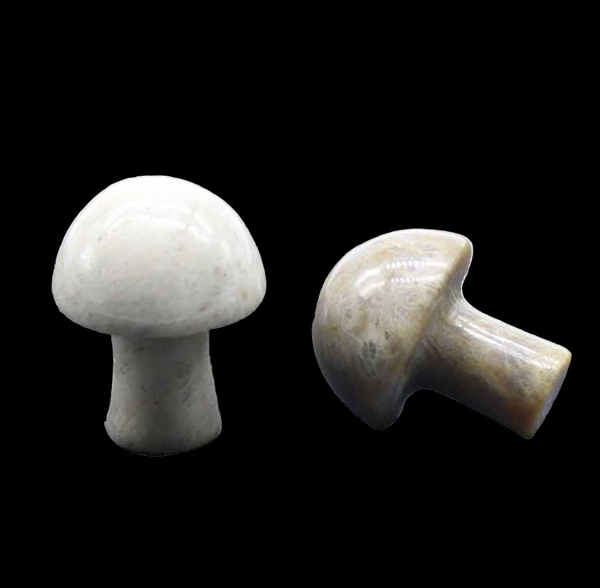 Two stone mushroom-shaped objects on a white background